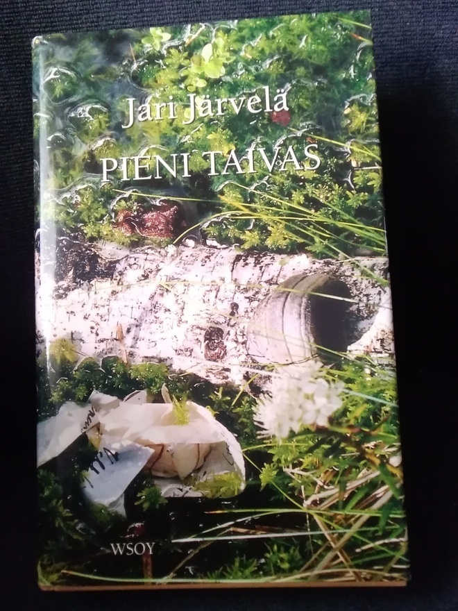 Jari Järvelä: Pieni taivas