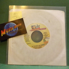 MERITAL FAMILY - MY MONEY HA HA EX- 7" SINGLE - pikkukuva 1