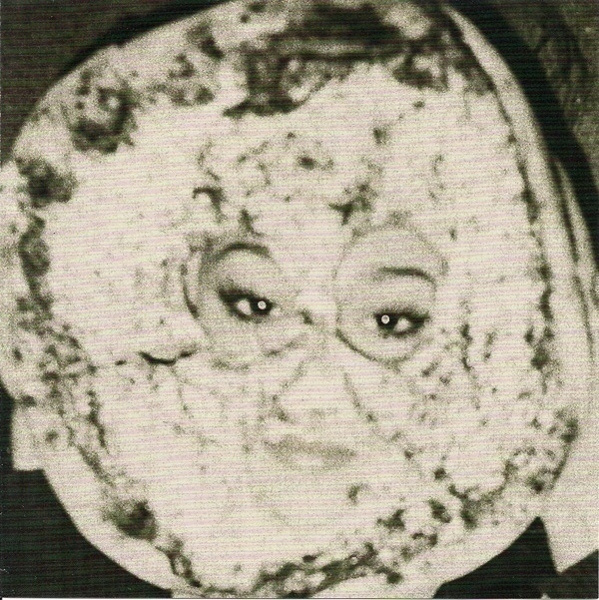 YOUNG GOVERNOR pizza face / punks in labour 45 -2011- japani