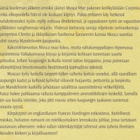 Frances Hardinge: Kärpästyttö - pikkukuva 3