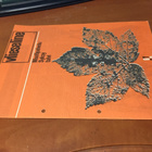 VLIESELINE MUOTIPALVELU SYKSY/TALVI 1967-1968 - pikkukuva 1