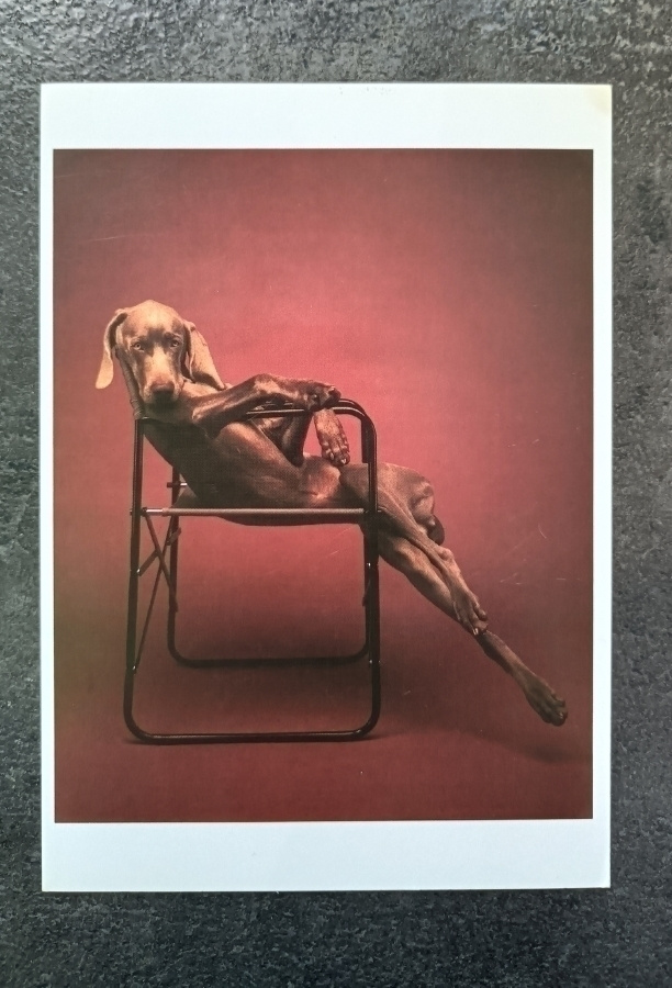 Kortti William Wegman Lolita - koira