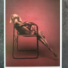 Kortti William Wegman Lolita - koira - pikkukuva 1