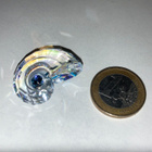 Swarovski 5688672 Idyllia SCS GWP Nautilus Shell (2025-2025) - pikkukuva 3