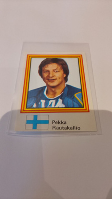 Ruotsi vm-83 Pekka Rautakallio ässät
