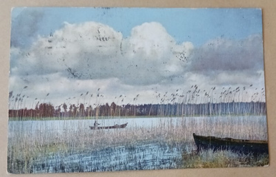 Soutaja kaislikon katveessa, vanha väripk, p. 1912