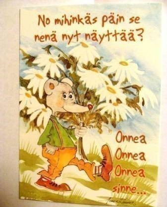 NO  221  - mihinkäs päin nenä näyttää