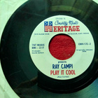 Ray Campi sinkku - pikkukuva 1