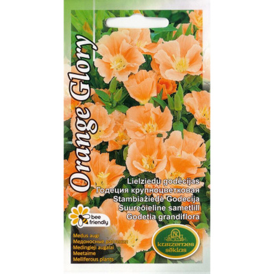 Isosilkkikukka 'Orange Glory' - siemenet #