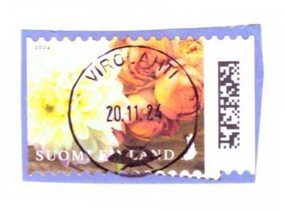 v. 2024  "Tulppaaneja ! "   LO Virolahti 20.11.24
