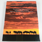 Fascination of Large Numbers : Herds, Swarms and Flocks - pikkukuva 2