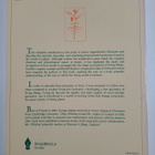George Adams ym. : The Plant Between Sun and Earth, and t... - pikkukuva 2
