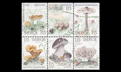 Ruotsi 1038-43hb ** Sieniä (1978)
