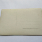 Eugen Schauman ja koira * - pikkukuva 2