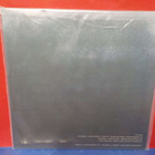 Mount Logan S/T UUSI LP - pikkukuva 2