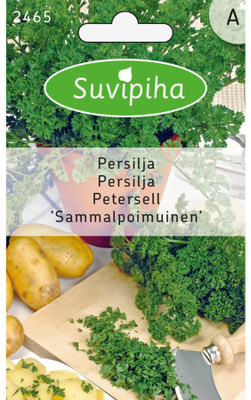 Persilja siemenet "SAMMALPOIMUINEN" #