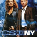 Csi:Ny Kausi 2 (6 dvd = 24 jaksoa = 993min - pikkukuva 1