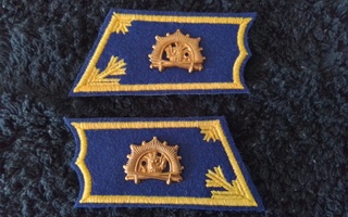 Kadetti