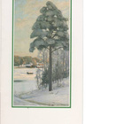 kortti °/** Westerholm Viktor Talvi tai kesä - erilaisia - pikkukuva 2