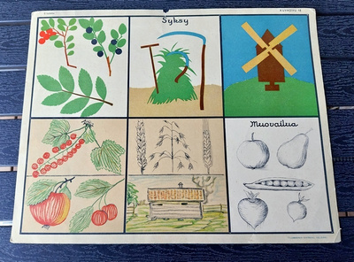 Opetustaulu Tilgmann n. 41,2 x 32,5 cm Syksy marjat vilja