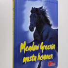 Anne Louise Mac Donald : Meadow Greenin musta hevonen - pikkukuva 1