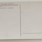 YHDYSPANKIN LUONNONSUOJELUKAMPPANJA 1975- POSTIKORTTI - pikkukuva 2