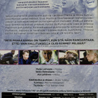 KIIMAISET POLIISIT DVD - pikkukuva 2