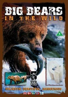 Big bears in the wild