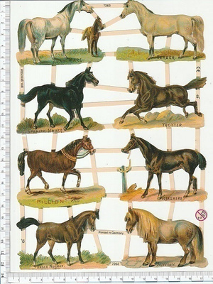 ~ EF 7263, upeat hepat-arkki ~