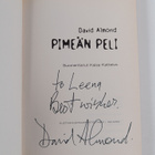 David Almond : Pimeän peli (signeerattu, tekijän omiste) - pikkukuva 3