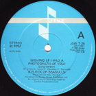 A Flock Of Seagulls - Wishing (If I Had A Photograph Of You) - pikkukuva 3