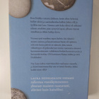 Laura Honkasalo : Eropaperit - pikkukuva 2