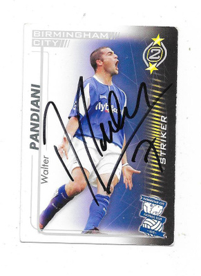 2005-06 TCG # Walter Pandiani , Birmingham City nimmari