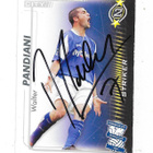 2005-06 TCG # Walter Pandiani , Birmingham City nimmari - pikkukuva 1