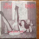 Ian Paice, Rod Evans, Untamed Youth, Loafin Hyenas (sexy) - pikkukuva 5