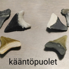 5 eri väristä jättihai megalodonin harvinaista poikashammast - pikkukuva 4
