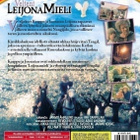 Veljeni Leijonamieli (DVD) - pikkukuva 2