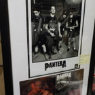 PANTERA TAULU KOLMELLA NIMMARILLA - pikkukuva 1