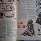 Nasta - iloinen nuorten lehti N:o 5/1963 - pikkukuva 3