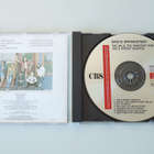 Bruce Springsteen “The Wild, the Innocent & the E Street Shu - pikkukuva 3