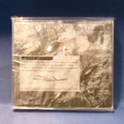 DAVID SYLVIAN - SECRETS OF THE BEEHIVE - JAPAN 2015 PRESS CD - pikkukuva 2