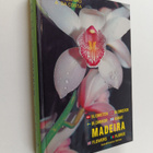 Antonio da Costa : Madeira : planter og blomster = växter... - pikkukuva 1