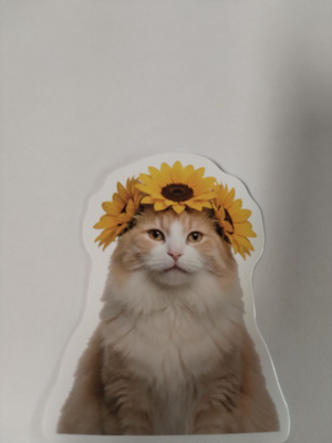 Kissa tarra.