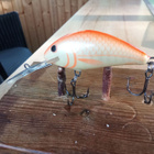 Salmo Floating Hornet 6 - pikkukuva 2