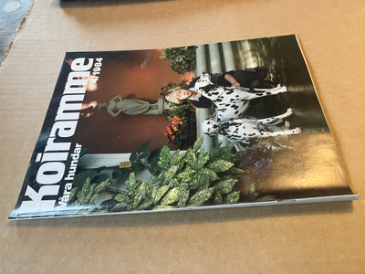 KOIRAMME LEHTI 4/1984 HYVÄ