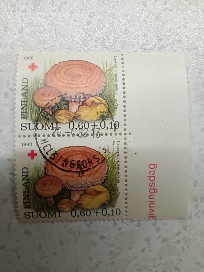 Postimerkki Punainen Risti loistoleima