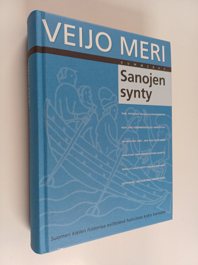 Veijo Meri : Sanojen synty