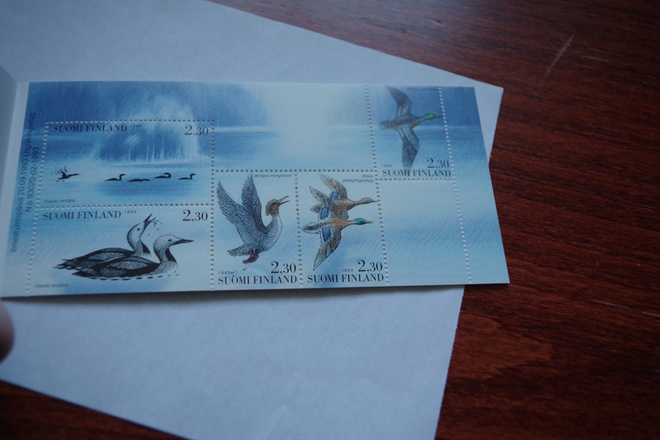 Postituore Vesilintuja--vihko 1993 V22**