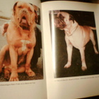 Walt Weisse u.a. MOLOSSER ( 2 p. 1990 ) Sis.pk:t - pikkukuva 4