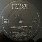 [12''] THE BLOW MONKEYS: DIGGING YOUR SCENE - pikkukuva 3